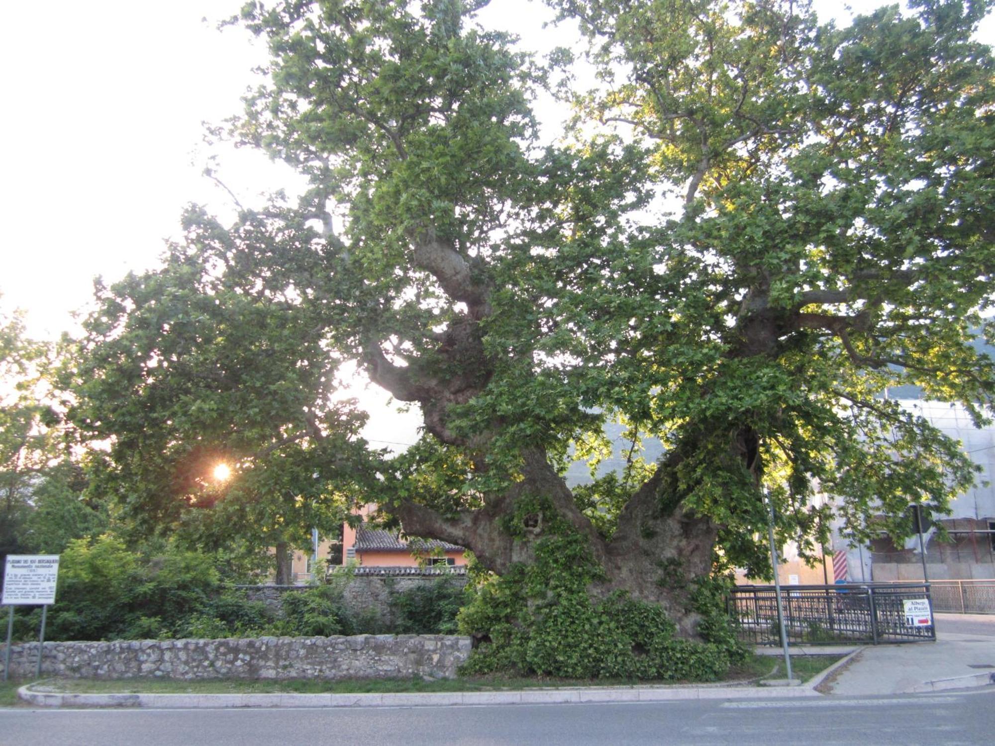 Albergo Al Platano Caprino Veronese Luaran gambar